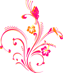 Design Fresher